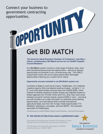 Government Bid Match